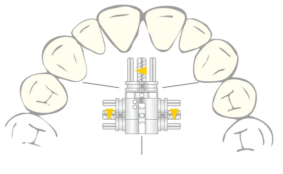 vector-720-2