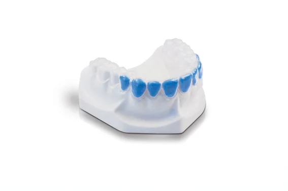 bioplast-bleach-2
